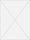 Edison Communicator Volume Four; Number Four by Edison Community College