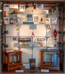 Oncology Display by Museum of Medical History