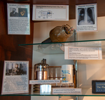 Oncology Display Closeup 1 by Museum of Medical History